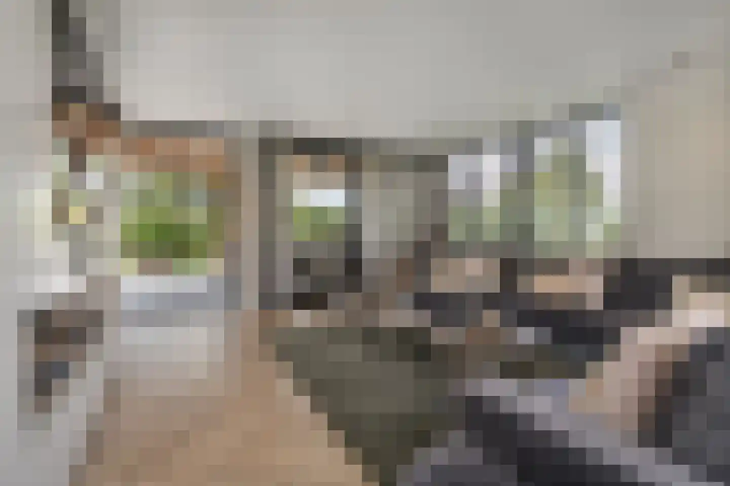Zijweg Dungen 22 Schijndel thumbnail 7