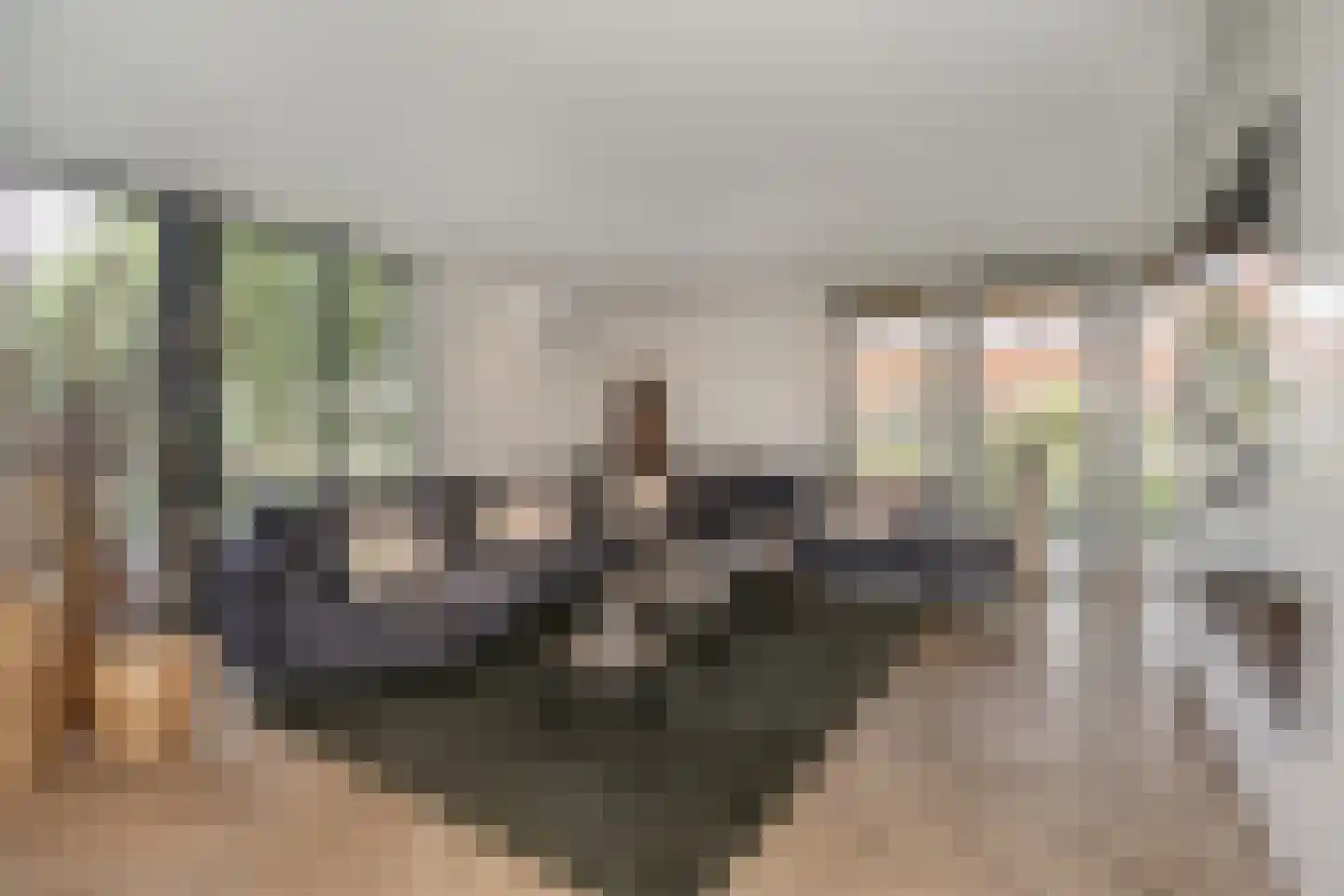 Zijweg Dungen 22 Schijndel thumbnail 9