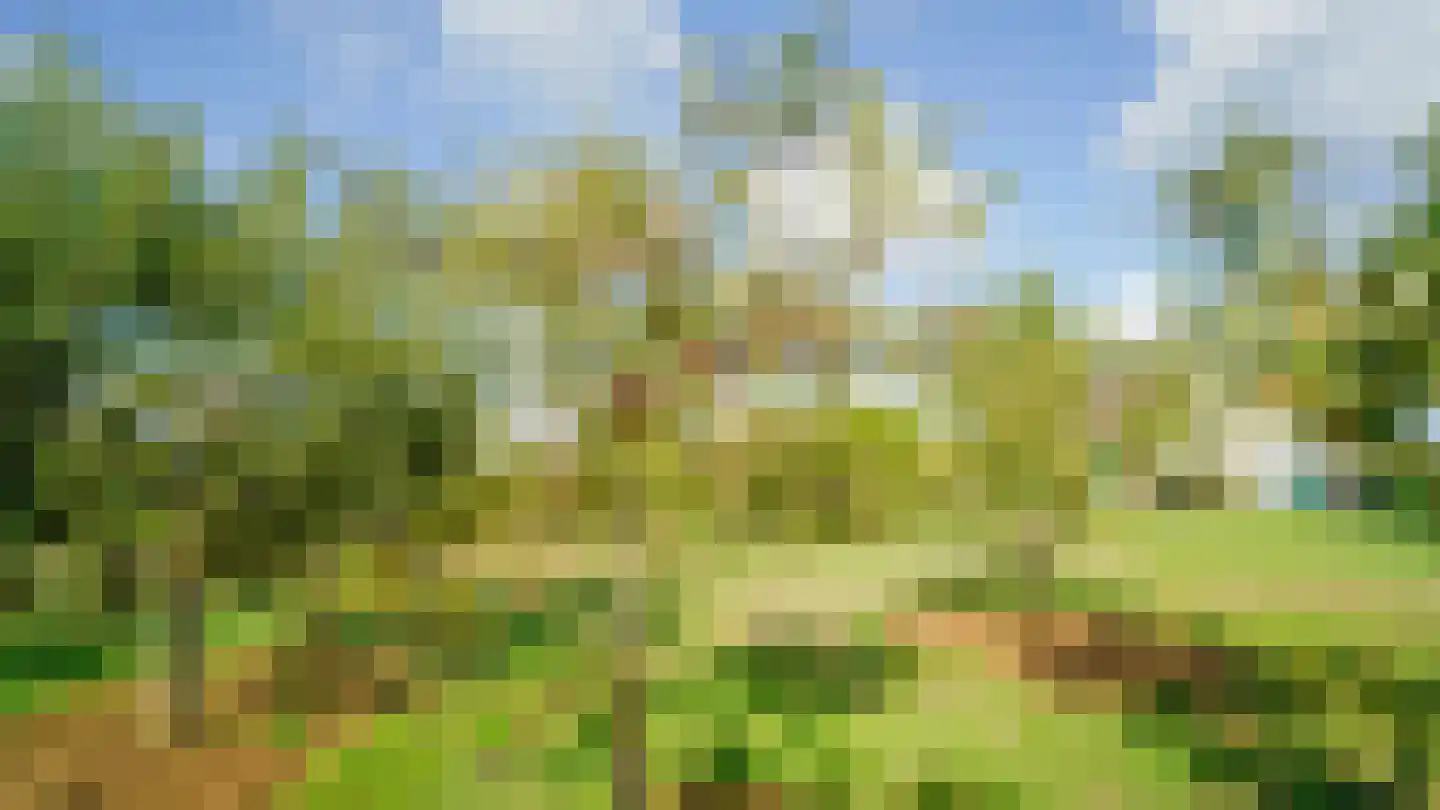 Zijwg N349 Hmp 66 66 Albergen thumbnail 10