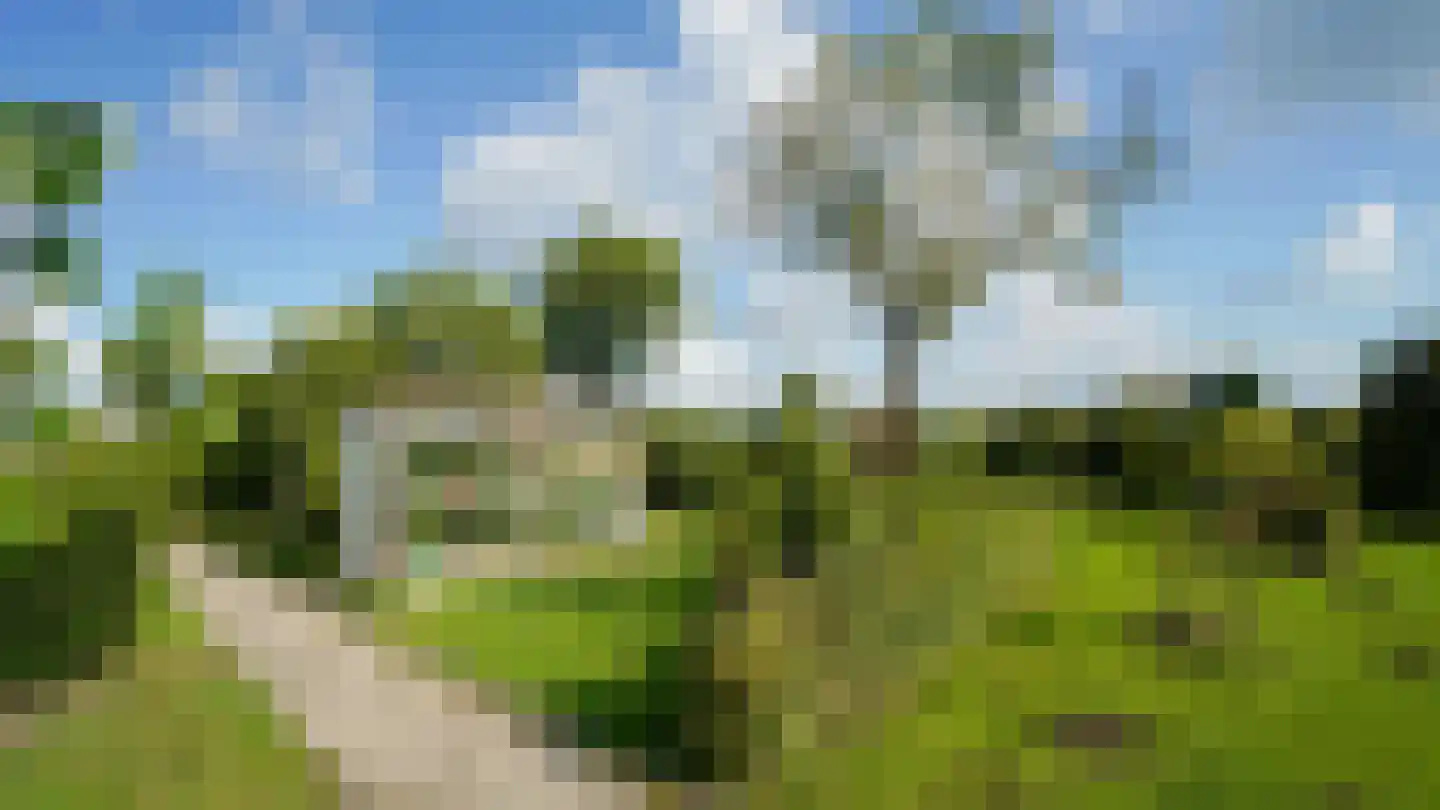 Zijwg N349 Hmp 66 66 Albergen thumbnail 12