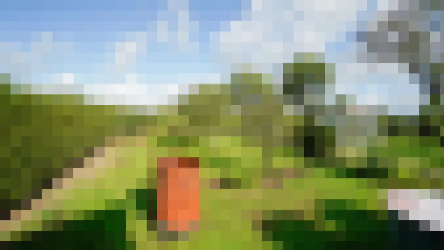 Zijwg N349 Hmp 66 66 Albergen thumbnail 17