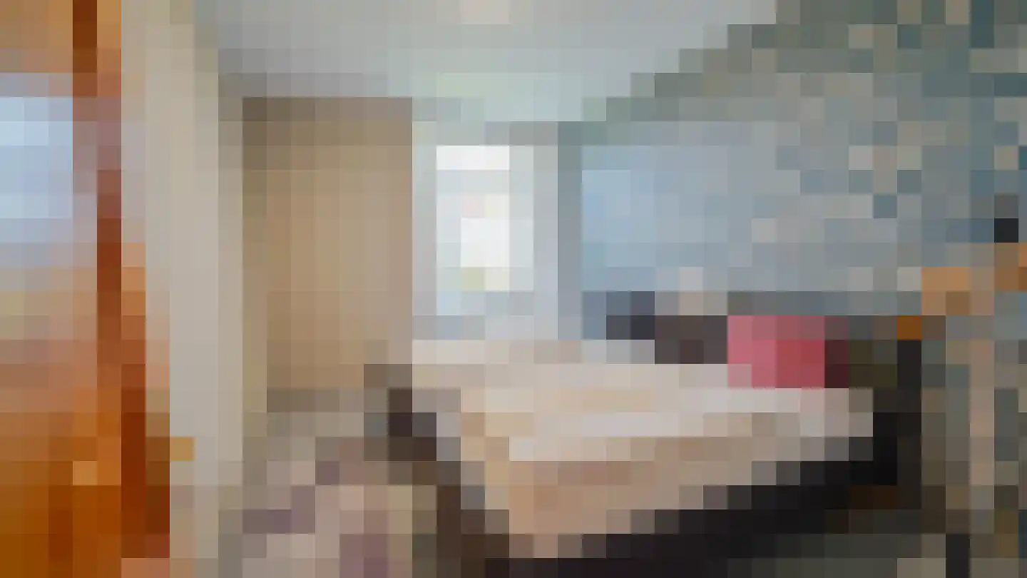 Zijwg N349 Hmp 66 66 Albergen thumbnail 28