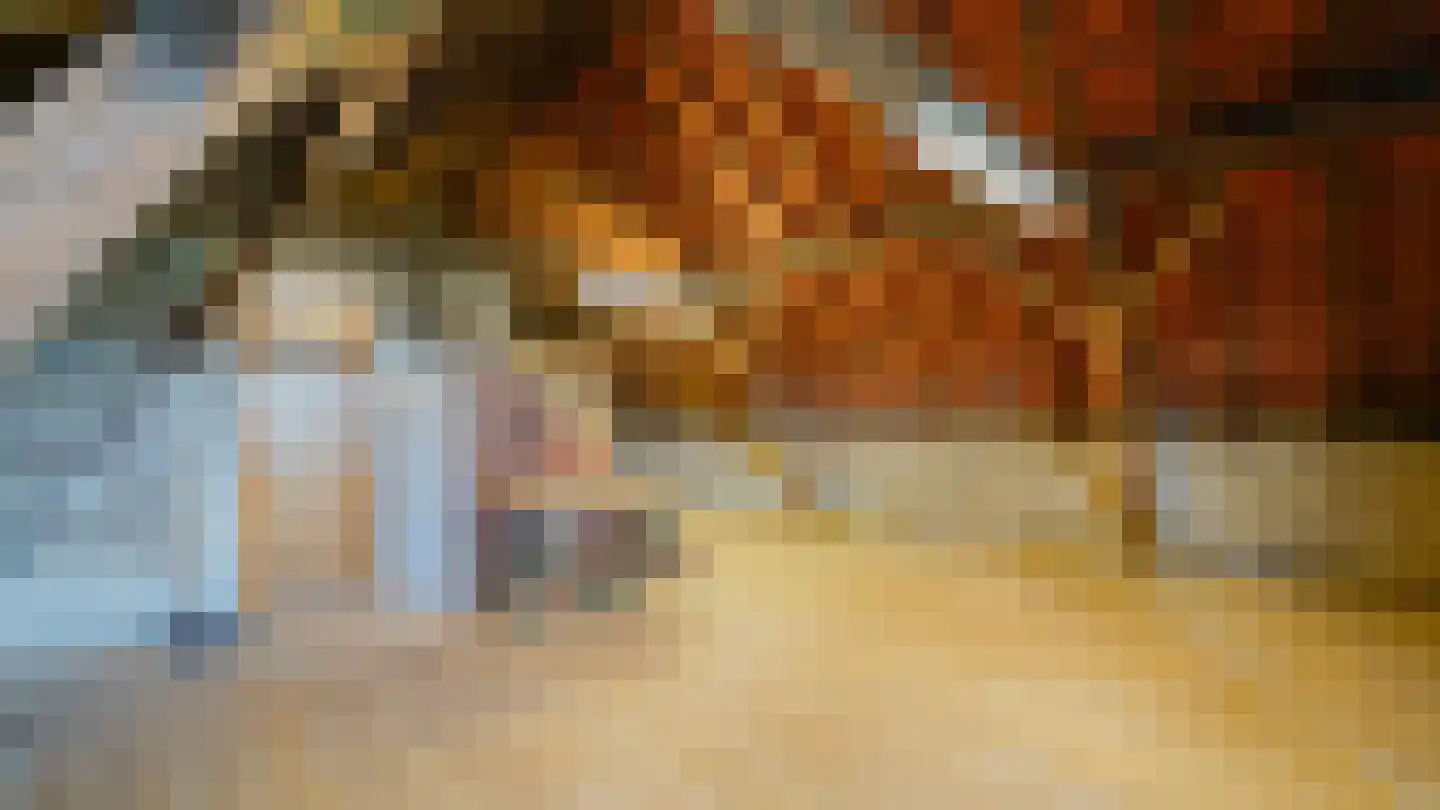 Zijwg N349 Hmp 66 66 Albergen thumbnail 40