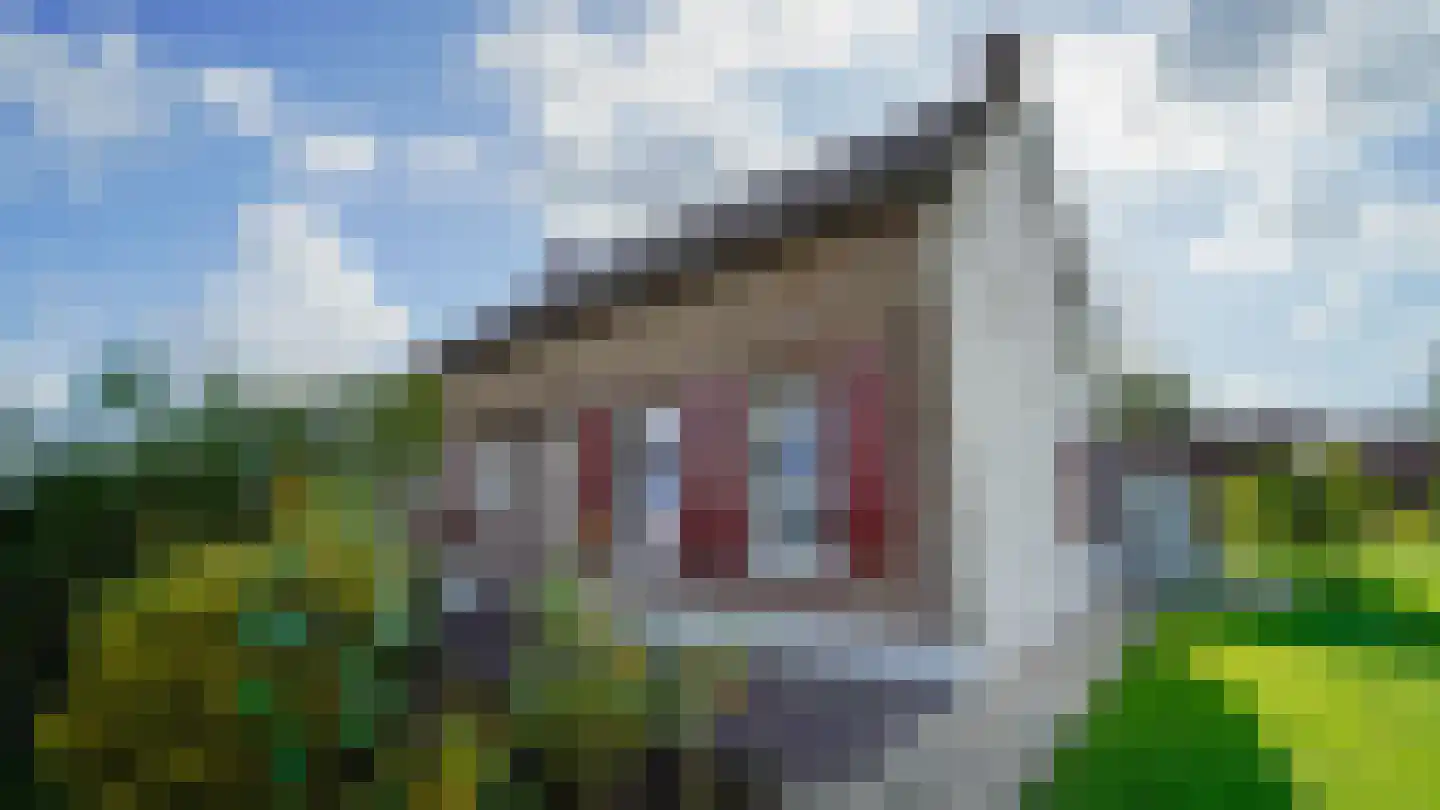 Zijwg N349 Hmp 66 66 Albergen thumbnail 8