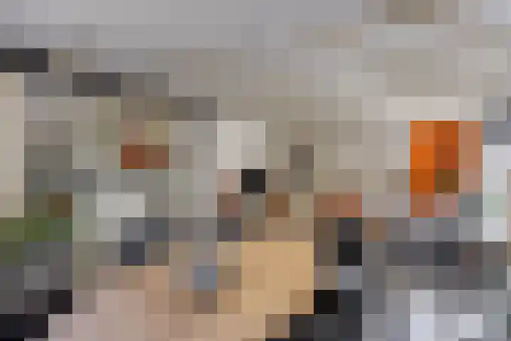 Zilkerbinnenweg 23 De Zilk thumbnail 14