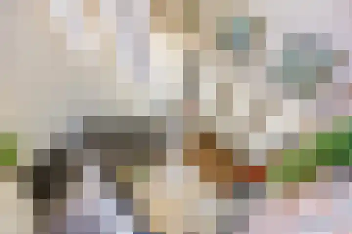 Zilkerbinnenweg 23 De Zilk thumbnail 25