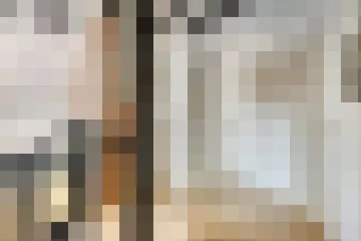Zilkerbinnenweg 23 De Zilk thumbnail 27