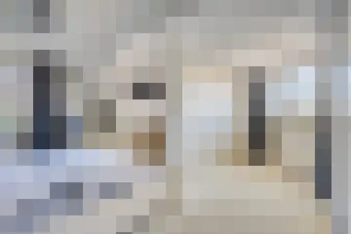 Zilkerbinnenweg 23 De Zilk thumbnail 29