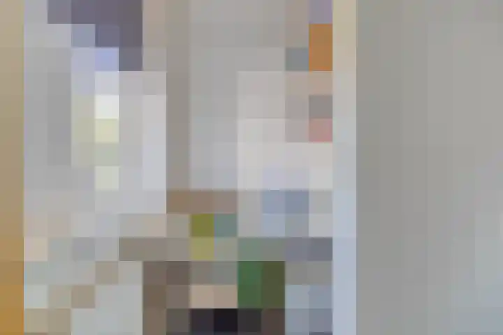 Zilkerbinnenweg 23 De Zilk thumbnail 37