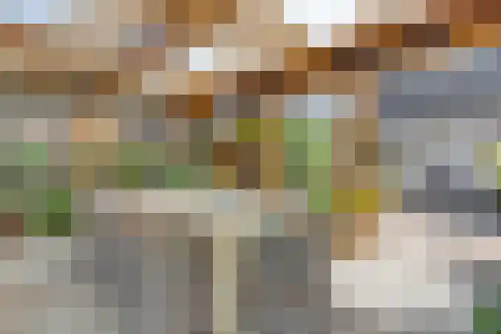 Zilkerbinnenweg 23 De Zilk thumbnail 4