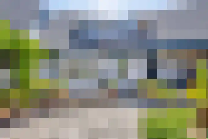 Zilkerbinnenweg 23 De Zilk thumbnail 43