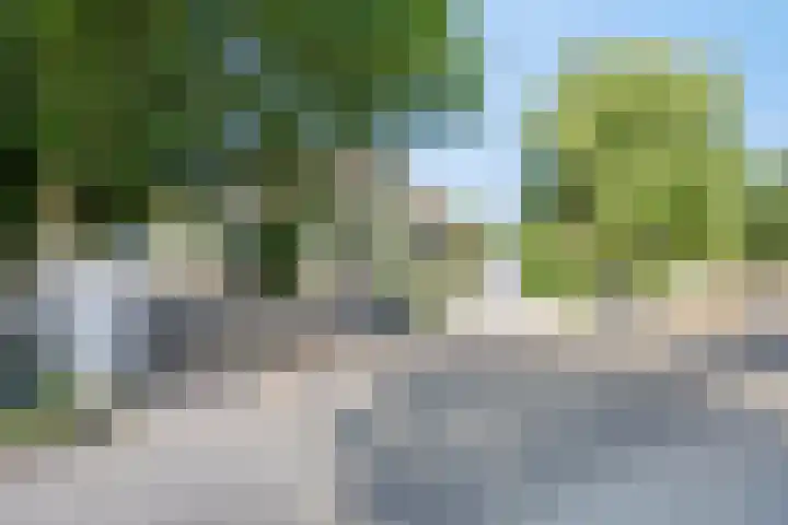 Zilkerbinnenweg 23 De Zilk thumbnail 5