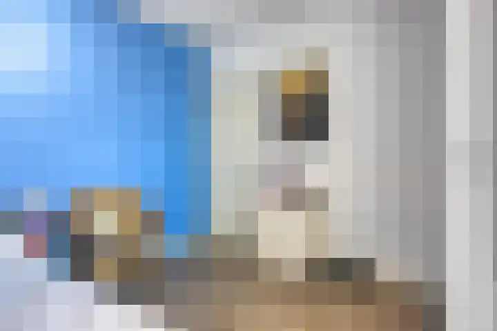 Zilkerbinnenweg 23 De Zilk thumbnail 52