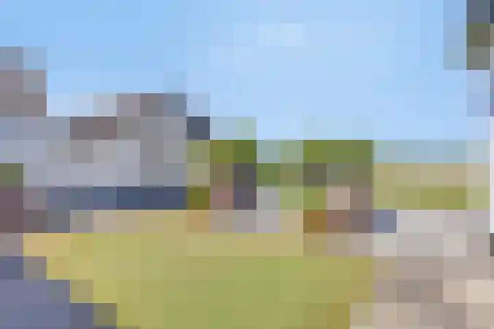 Zilkerbinnenweg 23 De Zilk thumbnail 55