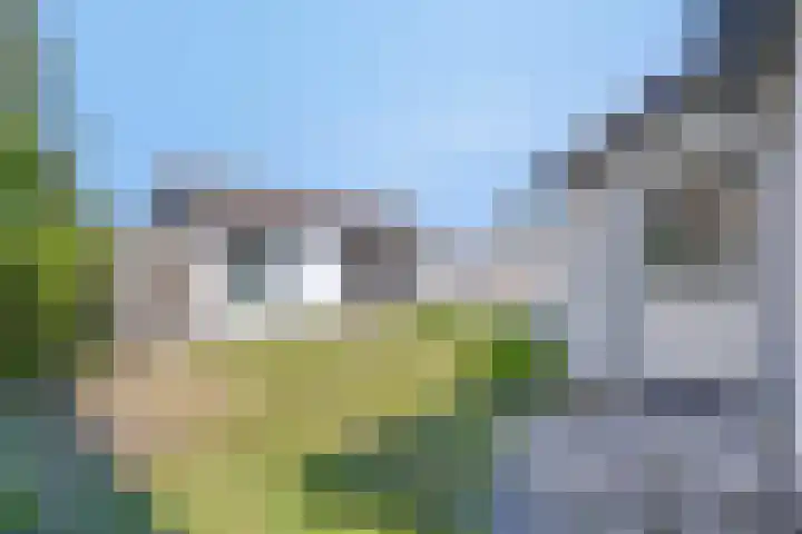 Zilkerbinnenweg 23 De Zilk thumbnail 58