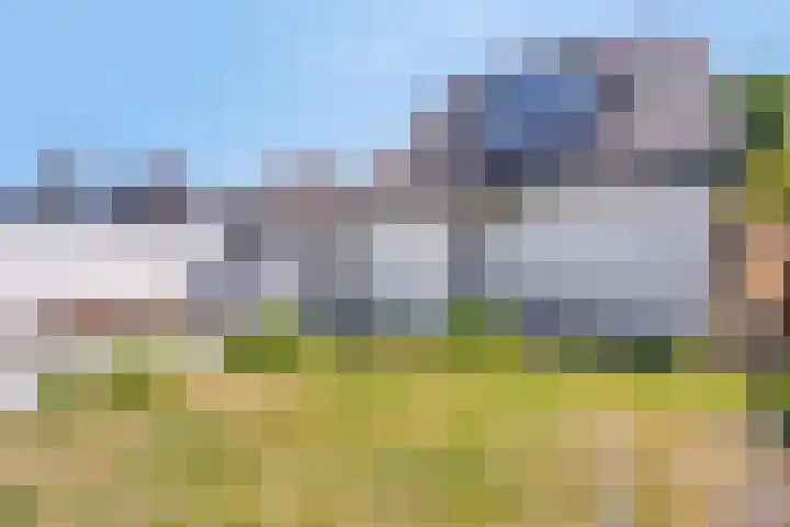 Zilkerbinnenweg 23 De Zilk thumbnail 59