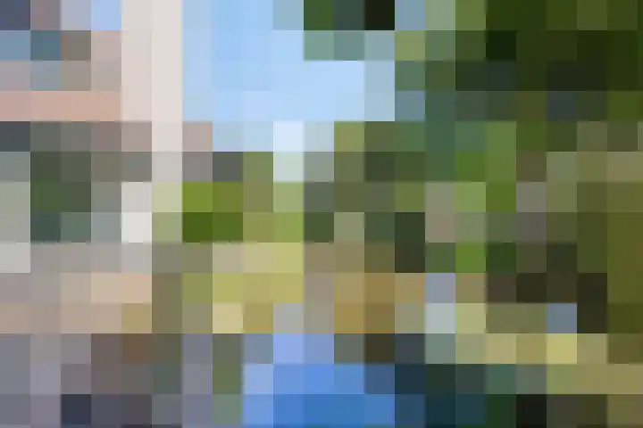 Zilkerbinnenweg 23 De Zilk thumbnail 6