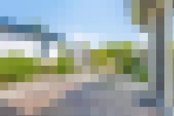 Zilkerbinnenweg 23 De Zilk thumbnail 62