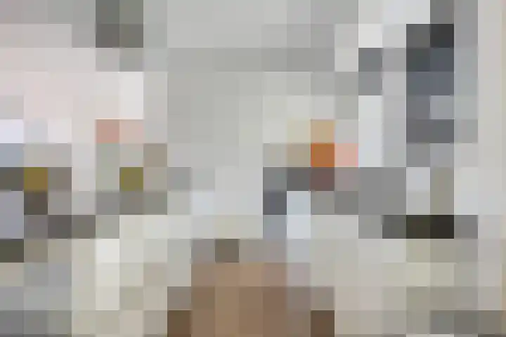 Zilkerbinnenweg 23 De Zilk thumbnail 69
