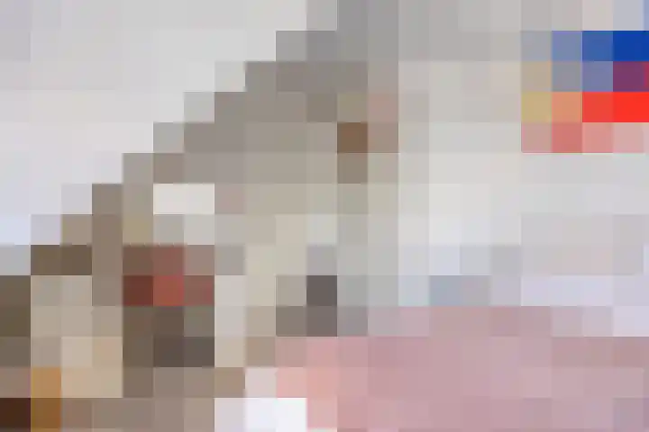 Zilkerbinnenweg 23 De Zilk thumbnail 74