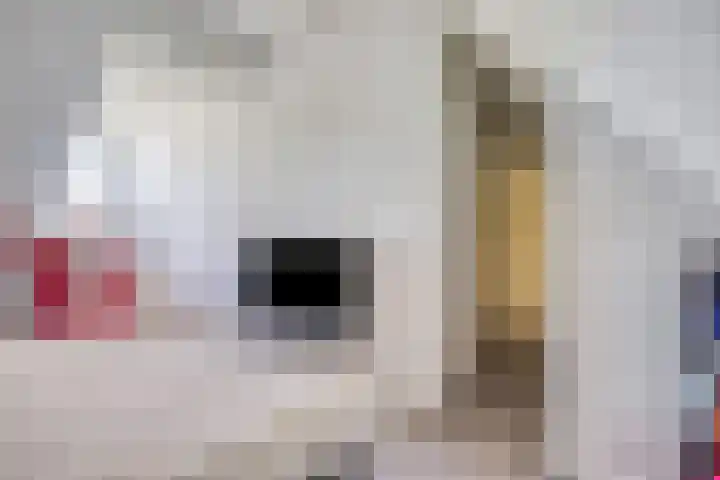 Zilkerbinnenweg 23 De Zilk thumbnail 76