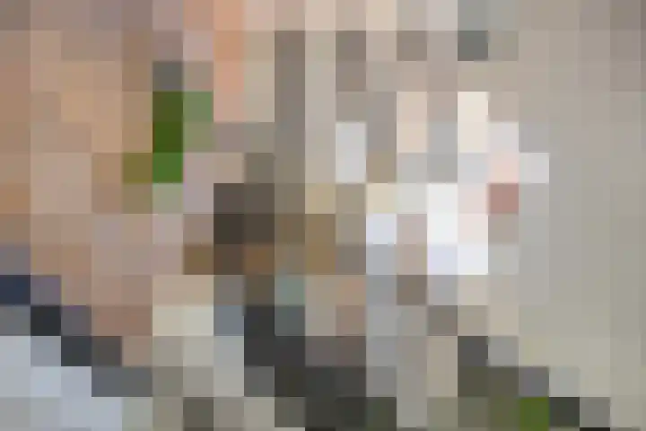 Zilkerbinnenweg 23 De Zilk thumbnail 8