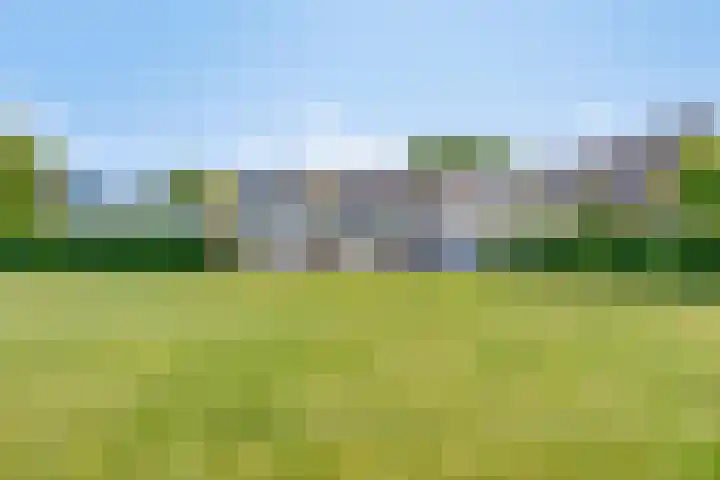Zilkerbinnenweg 23 De Zilk thumbnail 86