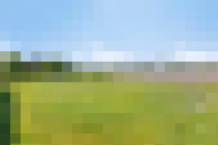 Zilkerbinnenweg 23 De Zilk thumbnail 87