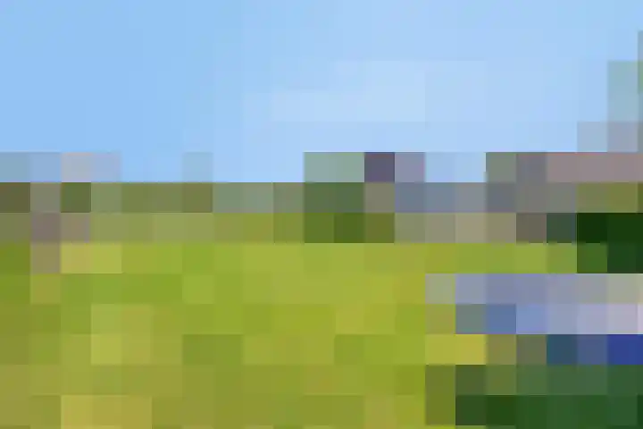 Zilkerbinnenweg 23 De Zilk thumbnail 88