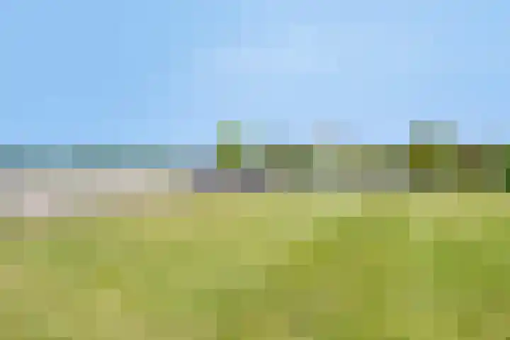 Zilkerbinnenweg 23 De Zilk thumbnail 89