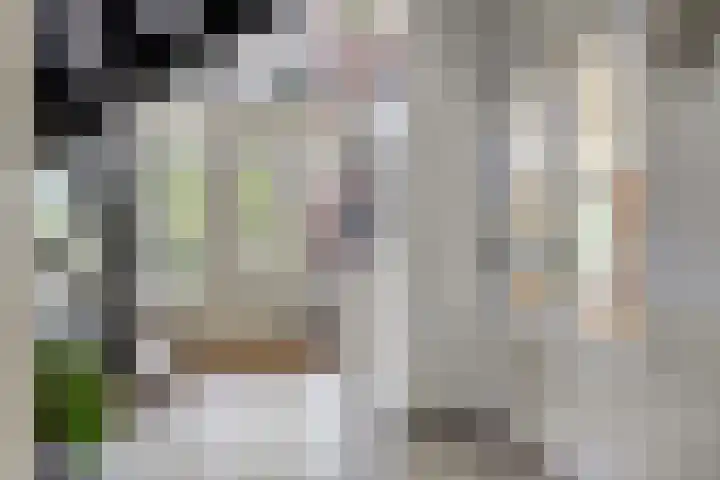 Zilkerbinnenweg 23 De Zilk thumbnail 9