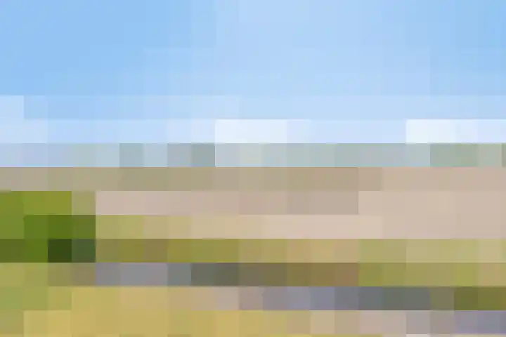 Zilkerbinnenweg 23 De Zilk thumbnail 90