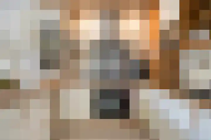 Zilkerbinnenweg 52 De Zilk thumbnail 16