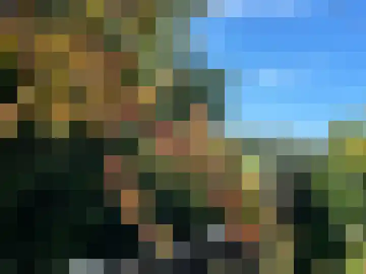 Zilkerbinnenweg 52 De Zilk thumbnail 22
