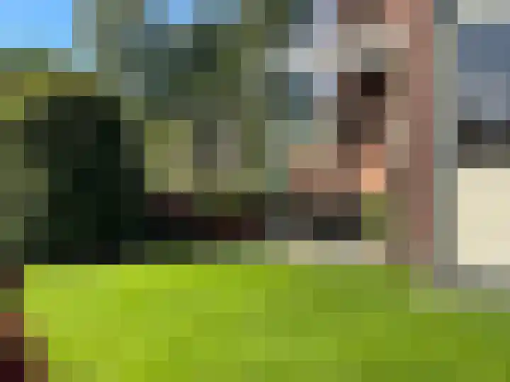 Zilkerbinnenweg 52 De Zilk thumbnail 24