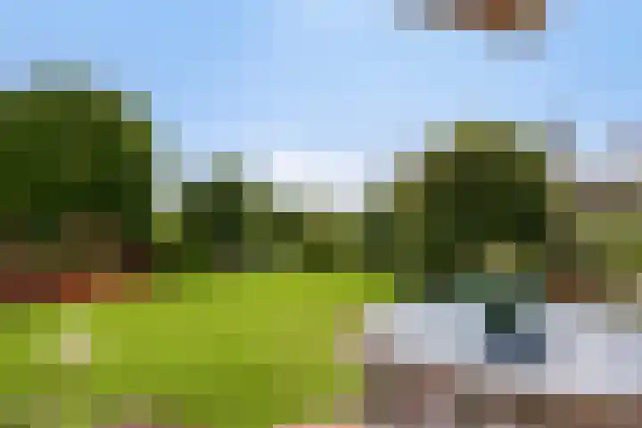 Zilkerbinnenweg 52 De Zilk thumbnail 25