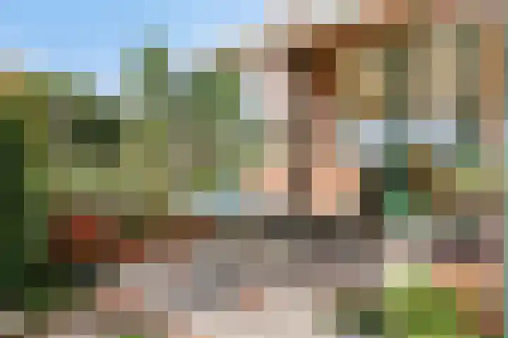 Zilkerbinnenweg 52 De Zilk thumbnail 26