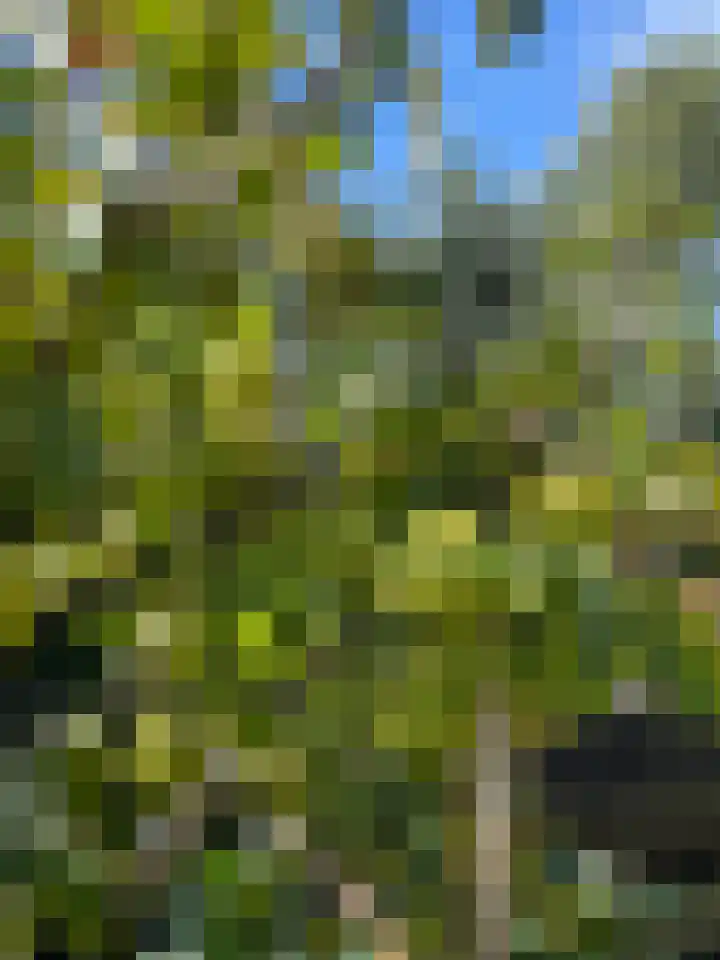 Zilkerbinnenweg 52 De Zilk thumbnail 28