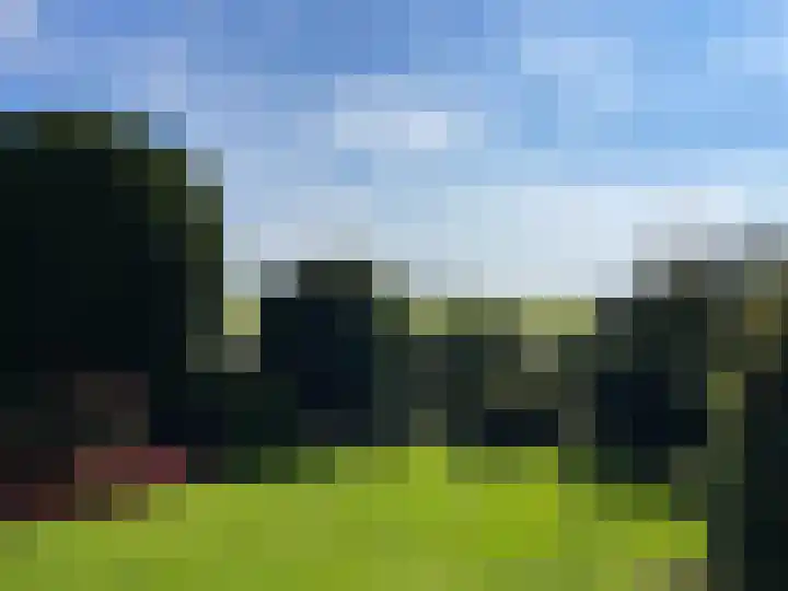 Zilkerbinnenweg 52 De Zilk thumbnail 29