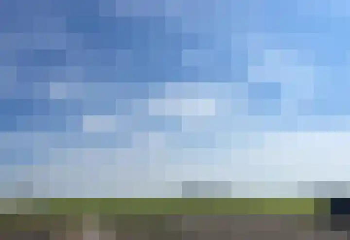 Zilkerbinnenweg 52 De Zilk thumbnail 30