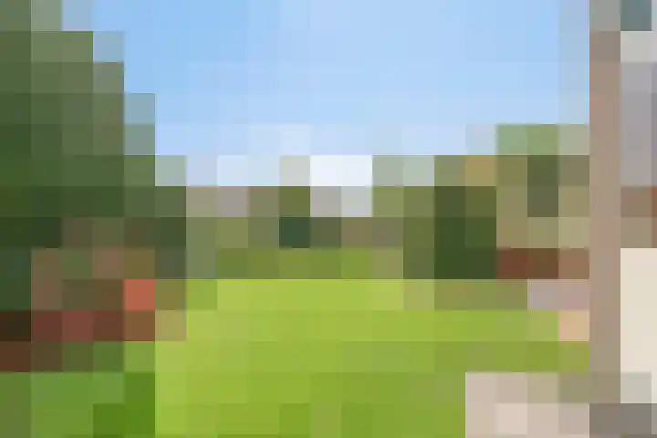 Zilkerbinnenweg 52 De Zilk thumbnail 31