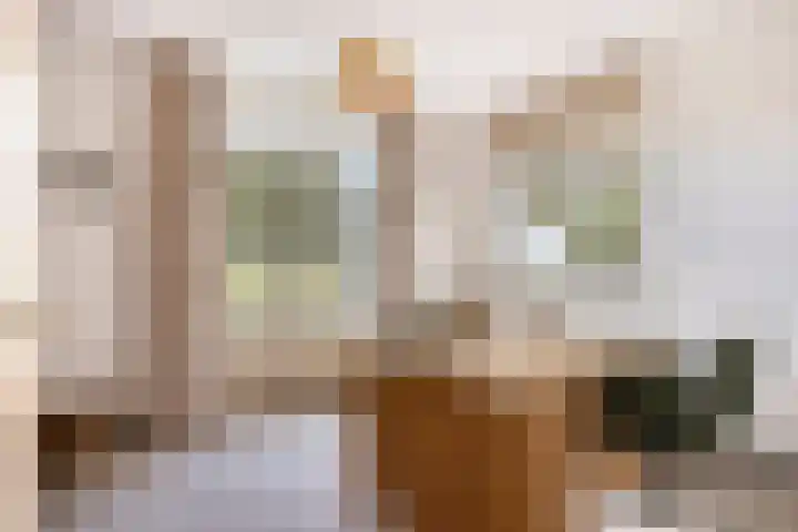Zilkerbinnenweg 52 De Zilk thumbnail 36