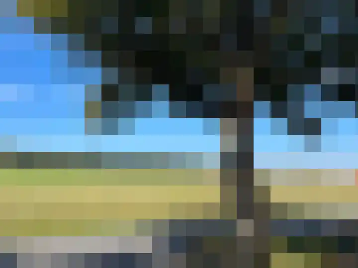 Zilkerbinnenweg 52 De Zilk thumbnail 5