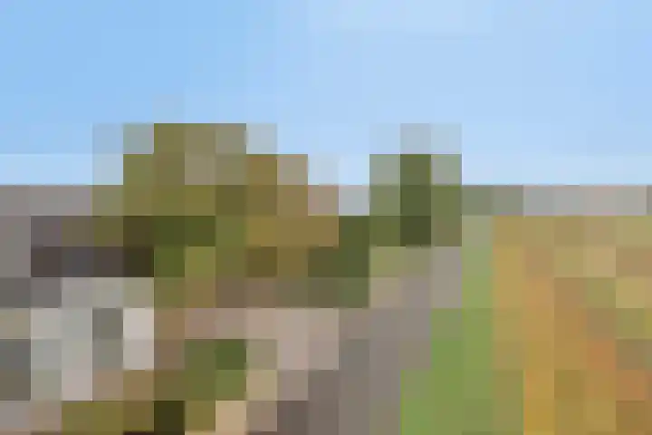 Zilkerbinnenweg 52 De Zilk thumbnail 58