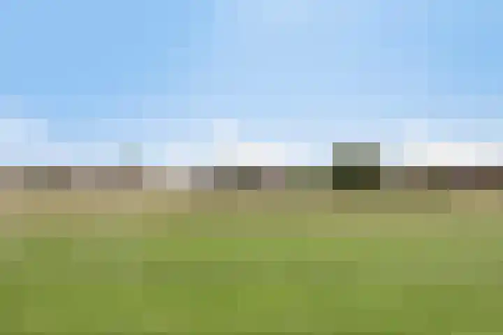 Zilkerbinnenweg 52 De Zilk thumbnail 7