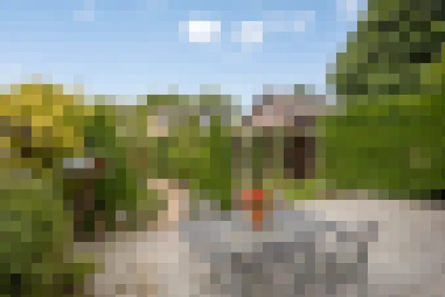 Zilkerduinweg 116 De Zilk thumbnail 4