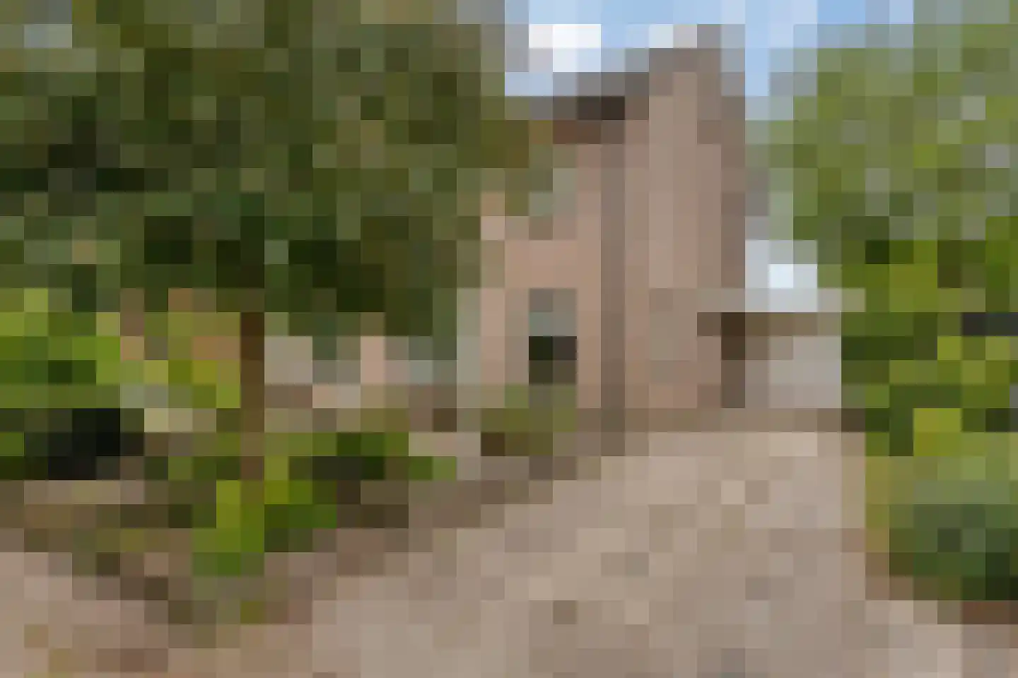 Zilkerduinweg 116 De Zilk thumbnail 5