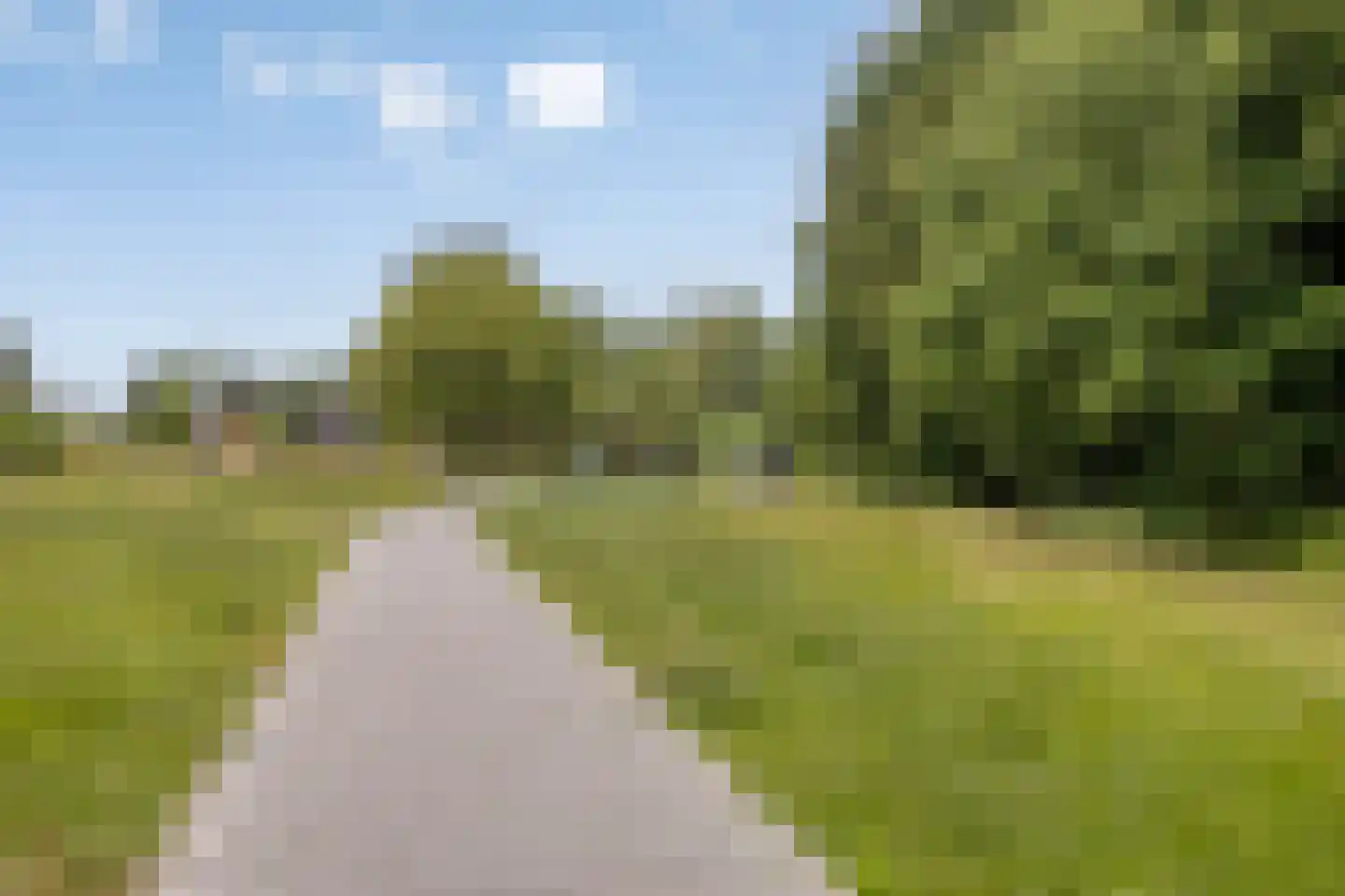 Zilkerduinweg 116 De Zilk thumbnail 50