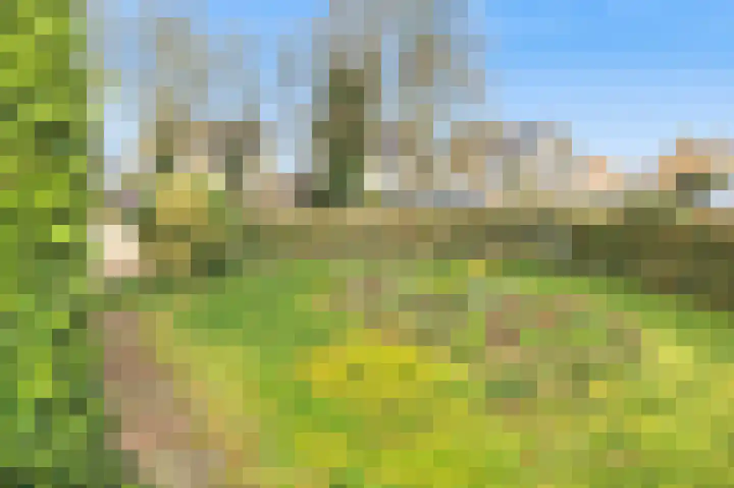Zilkerduinweg 120 De Zilk thumbnail 31