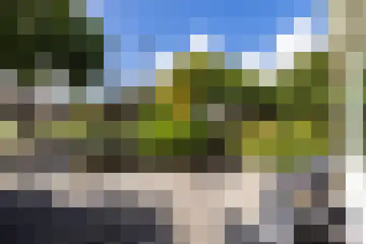 Zilkerduinweg 149 De Zilk thumbnail 42